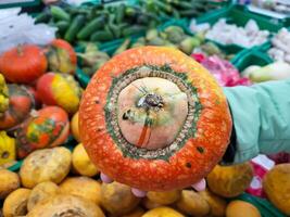 un' piccolo decorativo arancia zucca nel un' donna di mano foto