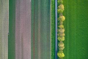 arial Visualizza di agricolo campo e strada foto