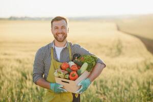 contadino Tenere un' gabbia di bio verdure nel il azienda agricola. contento uomo mostrando scatola di raccolto verdure. foto