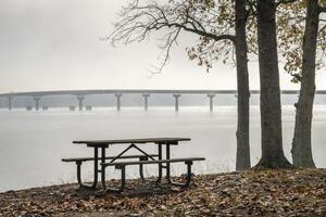 picnic tavolo a colberto traghetto parco, natchez tracciare Parkway con un' Visualizza di il ponte al di sopra di Tennessee fiume a partire dal Tennessee per Alabama, nebbioso novembre mattina foto
