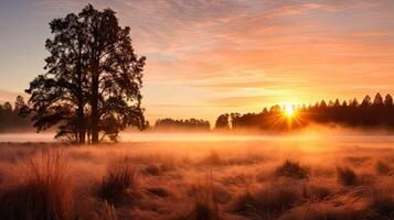 ai generato raggiante presto mattina sole ai generato foto