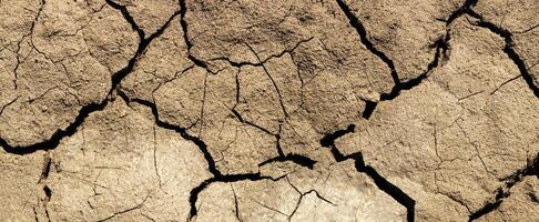 crepe nel il terra sfondo, nero terra foto