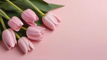 ai generato foto di primavera tulipano fiori su rosa sfondo superiore Visualizza nel piatto posare stile saluto Da donna o madri giorno o primavera vendita striscione. ai generato