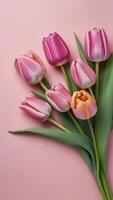 ai generato foto di primavera tulipano fiori su rosa sfondo superiore Visualizza nel piatto posare stile saluto Da donna o madri giorno o primavera vendita striscione. ai generato