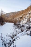 montagnoso terreno sole scogliere. prima mattina brina neve. freddo stagione. primavera leggero è caldo. il silenzio di natura foto