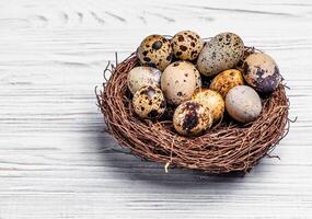 maculato Quaglia uova nel un' nido fatto di ramoscelli al di sopra di il leggero di legno sfondo. Marrone smussatura con uova. spazio per testo foto