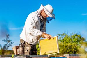 l'apicoltore sta lavorando con api e alveari sull'apiario. foto