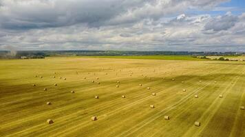 balle di fieno nel il campo. un' pila di fieno. cannuccia nel il prato. Grano raccogliere nel estate. il naturale paesaggio di il campagna. grano Ritaglia, raccolta. foto