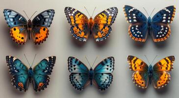 ai generato un' selezione di diverso farfalle su un' bianca. un' raccolta di multiplo farfalle seduta in cima un' pianura bianca parete. foto
