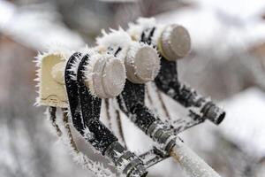 ghiaccio e neve su satellitare piatto. congelato neve su il satellitare piatto nel il inverno foto