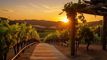 ai generato un' tranquillo, calmo vigneto a tramonto per un' romantico vino a tema chiamata foto