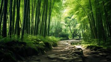 ai generato un' lussureggiante bambù boschetto nel un' silenzioso foresta foto