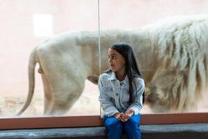 poco ragazza Guardando attraverso il bicchiere a bianca Leone nel zoo. attività apprendimento per ragazzo. foto