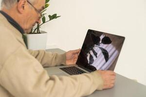 bello maturo uomo nel casuale seduta nel casa ufficio e Lavorando a il computer portatile foto