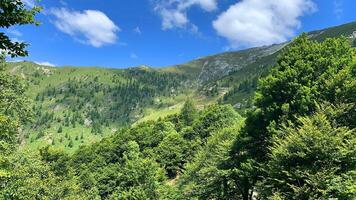 un' Visualizza di un' montagna gamma con un' treno foto