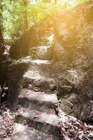 grande pietra e scala nel il foresta foto