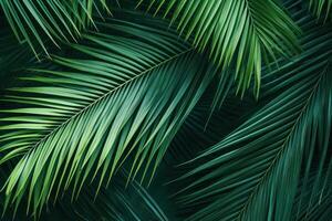 ai generato lussureggiante palma le foglie tropicale. creare ai foto