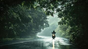 ai generato un' motocicletta autista navigazione attraverso il pioggia su un' densamente alberato strada, il scintillante gocce di pioggia e lussureggiante fogliame la creazione di un' travolgente ambiance di della natura abbraccio foto