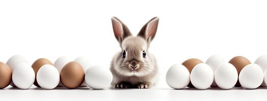 ai generato un' super divertente e carino bianca Pasqua coniglietto circondato di cioccolato uova, Perfetto per un Pasqua pubblicità campagna contro un' solido bianca sfondo. foto