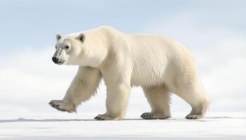 ai generato un' maestoso polare orso a piedi su congelato artico tundra generato di ai foto