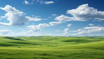 ai generato vivace prato, rotolamento colline, blu cielo, tranquillo tramonto, natura bellezza generato di ai foto