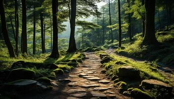 ai generato tranquillo scena escursioni a piedi attraverso autunno foresta, natura bellezza di fuga generato di ai foto