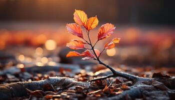 ai generato autunno foresta vivace colori, caduta foglie, tranquillo natura modificare generato di ai foto