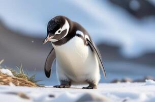 ai generato mondo pinguino giorno, un' poco pinguino su un ghiaccio lastrone, il regno di ghiaccio e neve, il lontano nord, un iceberg nel il oceano foto