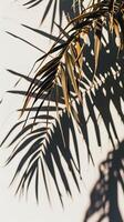 ai generato ombra di palma foglia su parete. generativo ai. foto