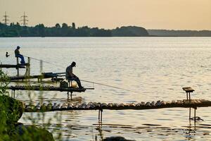maschio pescatori seduta con un' pesca asta su il lago o stagno, Visualizza a partire dal il Indietro. estate pesca. foto