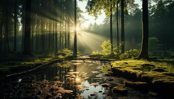 ai generato tranquillo scena nebbioso autunno foresta, luce del sole riflette su tranquillo stagno generato di ai foto