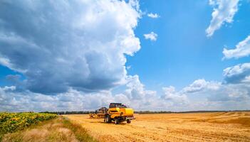 combinare mietitore nel azione su il campo. combinare mietitrice. raccolta macchina per raccolta un' Grano campo foto