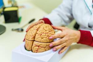 cervello funzioni modello per formazione scolastica. medico detiene un' modello di il umano cervello nel mani. foto