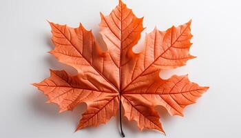 ai generato autunno vivace colori simboleggiare natura bellezza nel un' stagione generato di ai foto