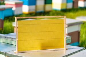 un' nuovo di legno telaio per api sta su un' alveare nel il estate nel il giardino foto