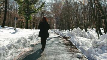 donna a piedi nel il strada di un' nevoso foresta nel il mattina foto
