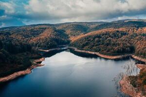 foresta nel autunno con alberi vicino un' lago nel il montagne aereo Visualizza foto