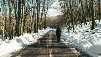 signora a piedi attraverso un' strada nel il nevoso foresta foto