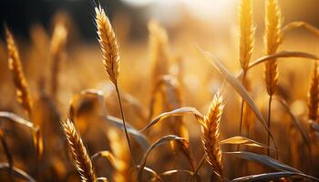 ai generato rurale azienda agricola raccolti d'oro Grano, natura biologico bellezza nel estate generato di ai foto