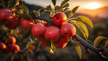 ai generato freschezza e dolcezza nel natura vibrante, verde Mela frutteto generato di ai foto