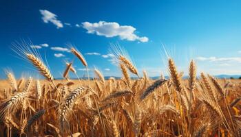 ai generato rurale scena Grano, azienda agricola, crescita, all'aperto, giallo, pianta, paesaggio, raccogliere generato di ai foto