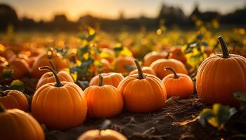 ai generato Halloween zucca decorazione brilla, spaventoso lanterne leggero su notte generato di ai foto