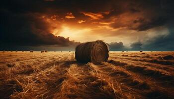 ai generato agricoltura bellezza rurale prato, tramonto, Grano, pagliaio, drammatico cielo generato di ai foto