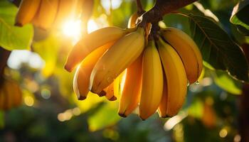 ai generato fresco, maturo Banana su verde foglia nel soleggiato frutteto generato di ai foto