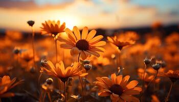 ai generato tramonto prato, giallo fiore, bellezza nel natura, vivace colori generato di ai foto