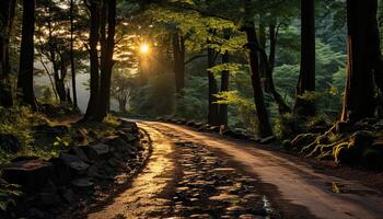 ai generato tranquillo autunno foresta, vivace colori, luce del sole su albero generato di ai foto