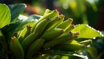 ai generato fresco verde le foglie su un' Banana albero nel il foresta pluviale generato di ai foto