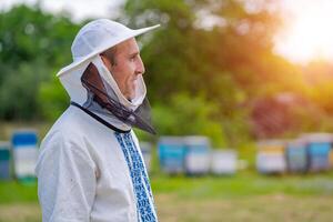 maschio apicoltore al di sopra di orticaria sfondo. protettivo cappello. sfocato sfondo. miele e api. foto