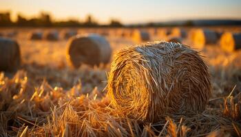 ai generato rurale prato, d'oro Grano, lanciato fieno balle sotto tramonto generato di ai foto