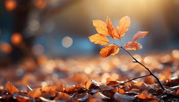 ai generato vivace autunno foresta, giallo foglie, luminosa luce del sole, natura bellezza generato di ai foto